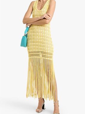 Simkhai Sonia fringed open-knit maxi dress